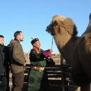 While in Mongolia as UNDP Goodwill Ambassador, HRH Crown Prince Haakon is shown the livestock of nomadic herder Gantuya. For editorial use only - not for sale. Photo: D. Rentsendorj, MONTSAME news agency. Picture size: 2144 x 1424  px, 1,87 Mb.
